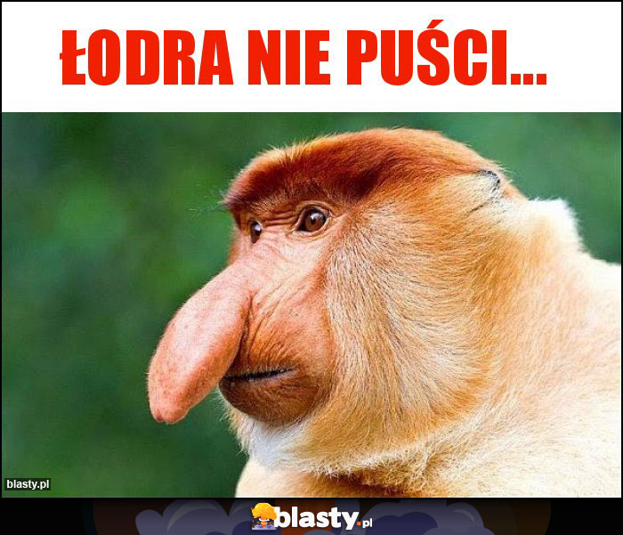 Łodra nie puści...