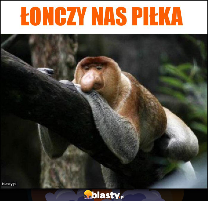 Łonczy nas piłka