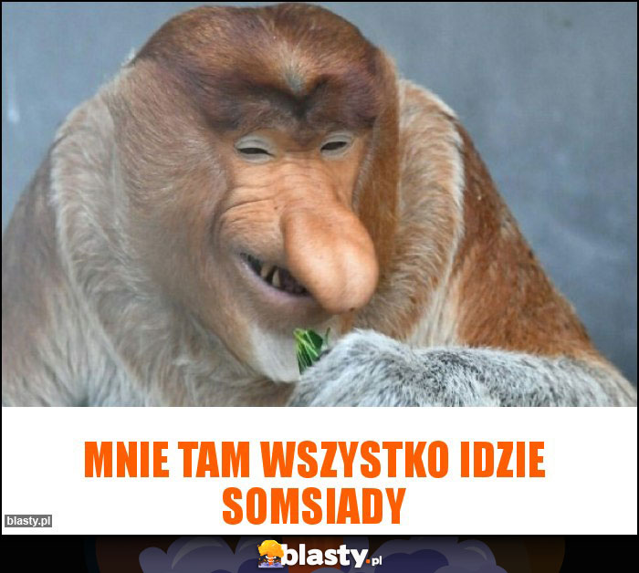 Mnie tam wszystko idzie somsiady