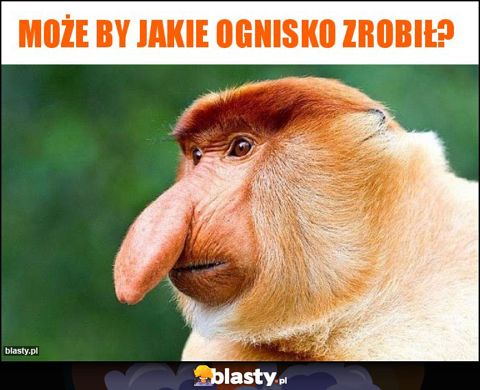 Może by jakie ognisko zrobił?