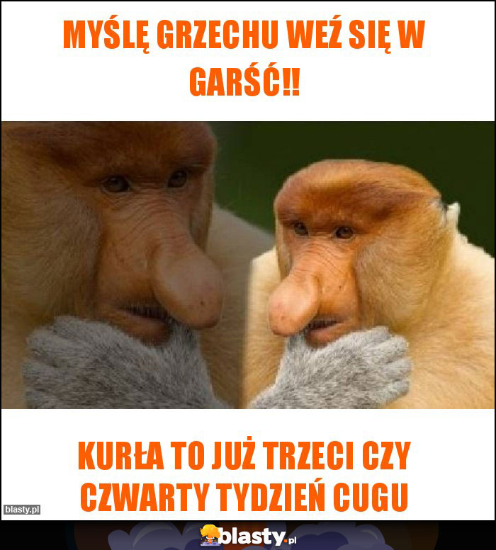 Myślę Grzechu weź się w garść!!