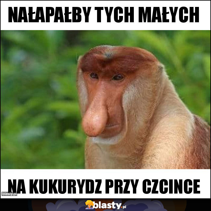 Nałapałby tych małych