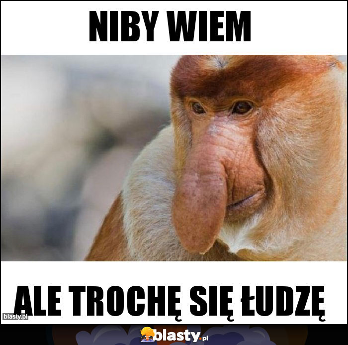 Niby wiem