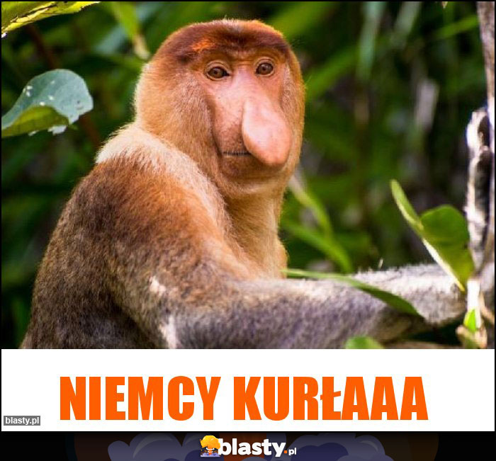 Niemcy kurłaaa