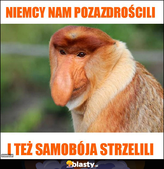 Niemcy nam pozazdrościli