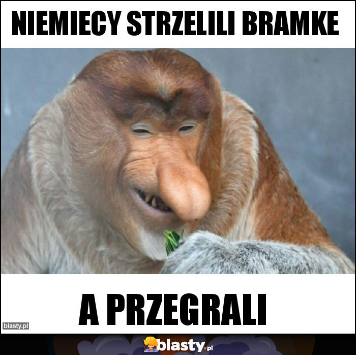 Niemiecy strzelili bramke