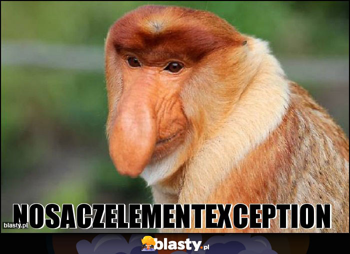 NoSaczElementException