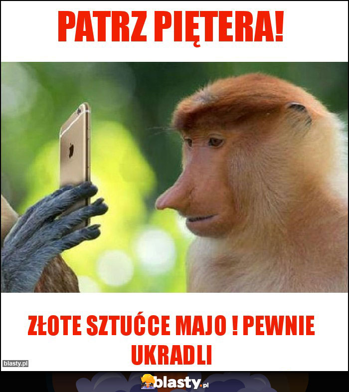 Patrz piętera!