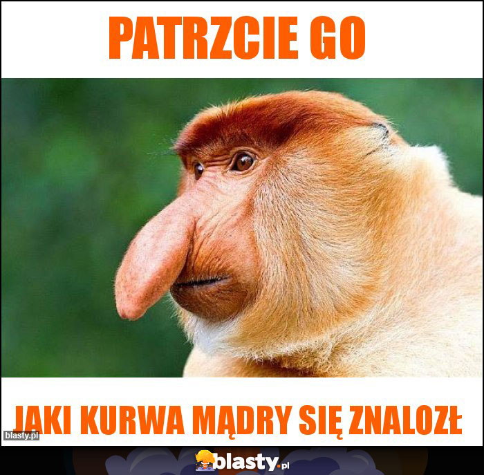 Patrzcie go