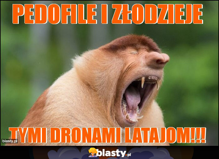 Pedofile i złodzieje