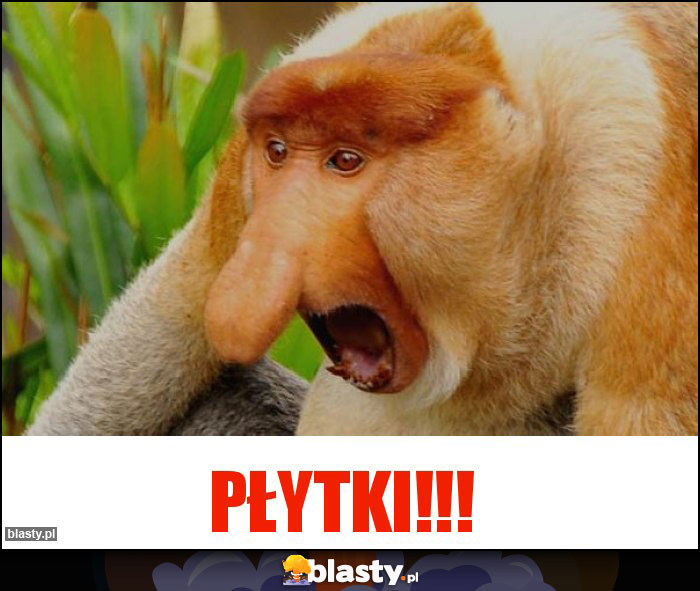 PŁYTKI!!!