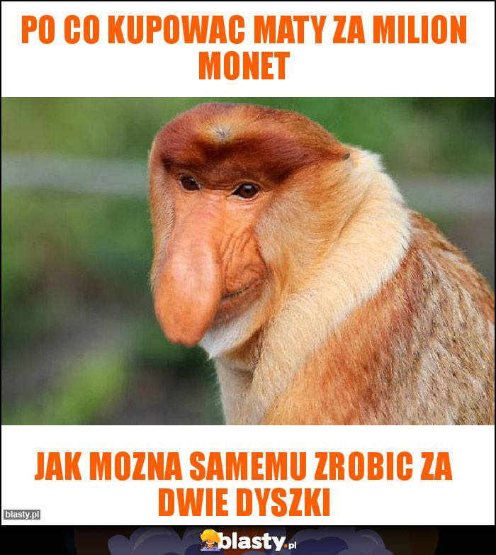 Po co kupowac maty za milion monet