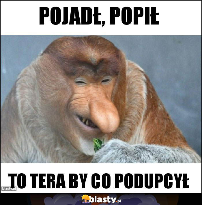 POJADŁ, POPIŁ