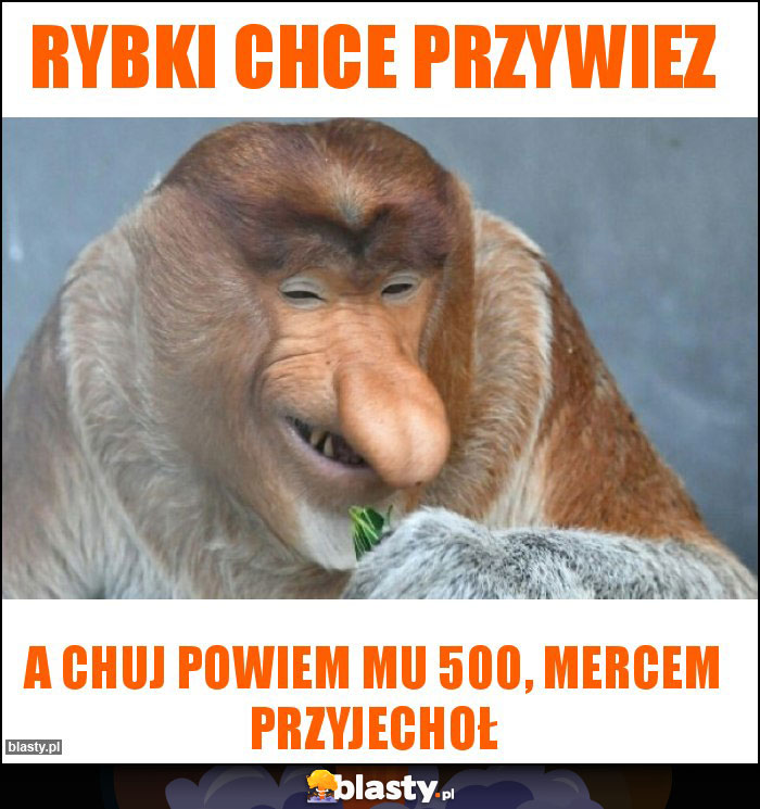 Rybki chce przywiez