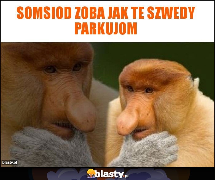 Somsiod zoba jak te Szwedy parkujom