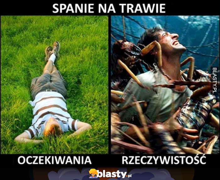 Spanie na trawie oczekiwania vs rzeczywistość