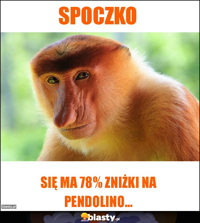 spoczko