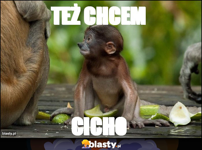 Też chcem