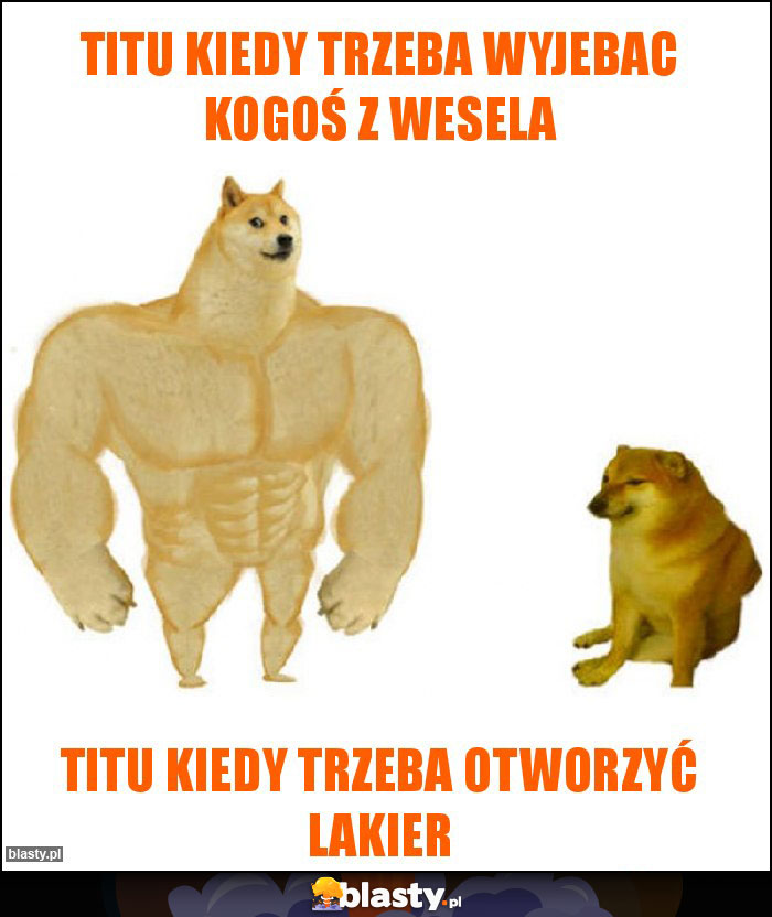 Titu kiedy trzeba wyjebac kogoś z wesela