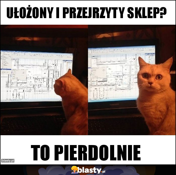 ułożony i przejrzyty sklep?