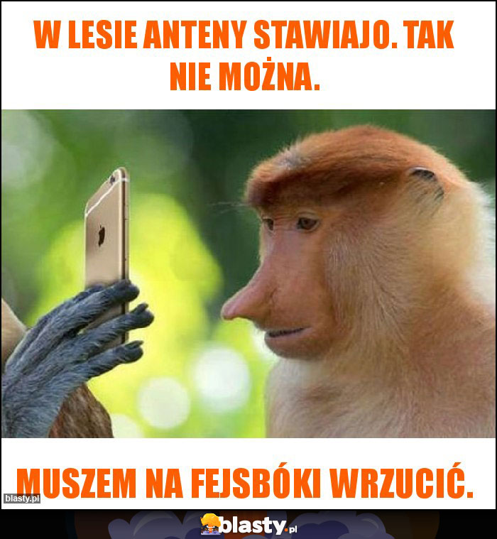 W lesie anteny stawiajo. Tak nie można.