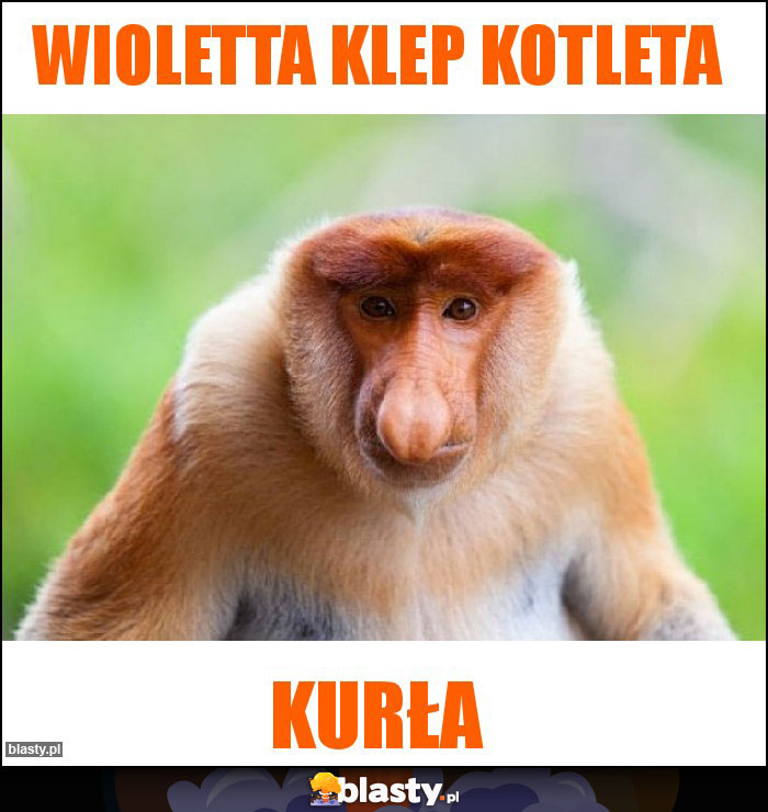 Wioletta klep kotleta