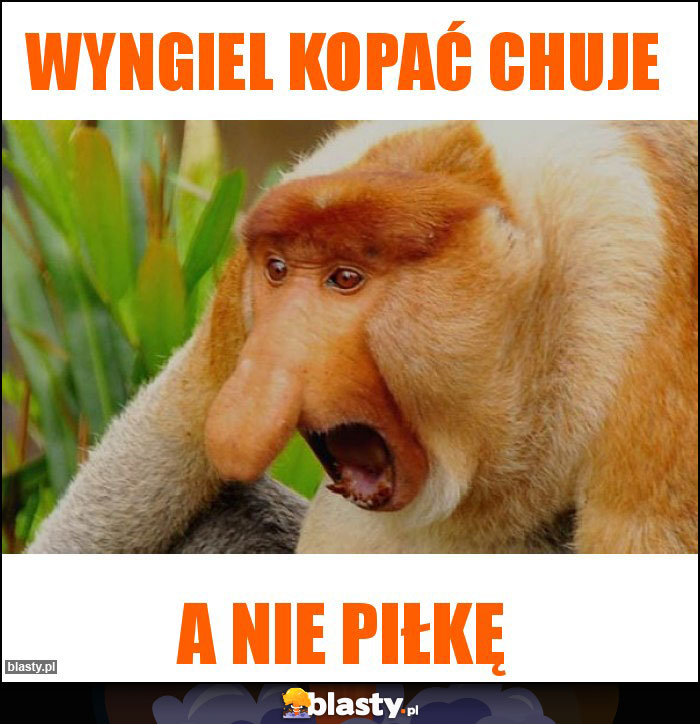 Wyngiel kopać chuje