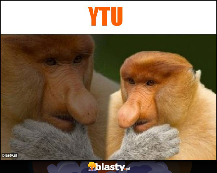 Ytu