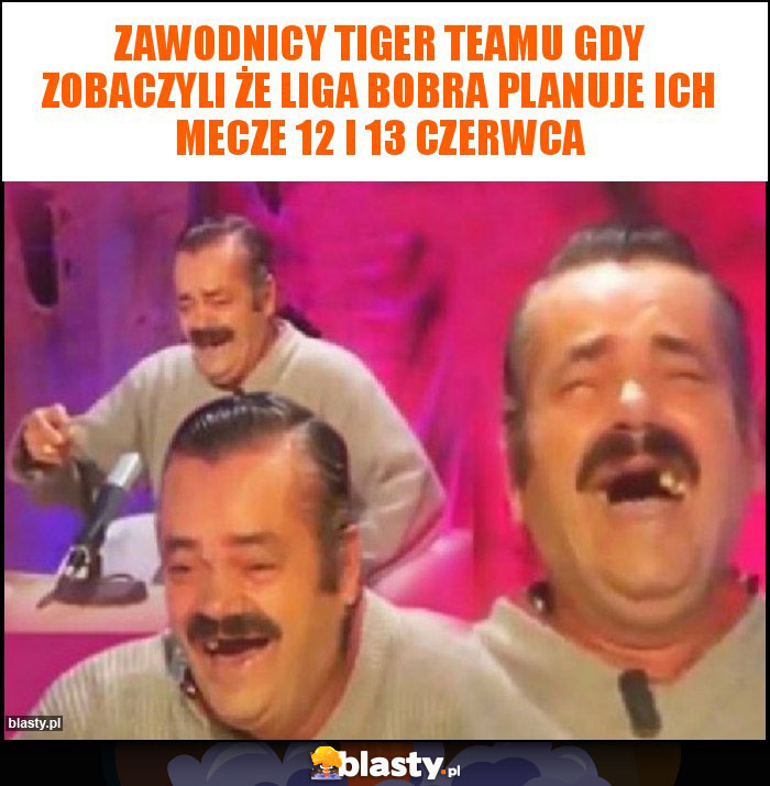 Zawodnicy Tiger teamu gdy zobaczyli że Liga bobra planuje ich mecze 12 i 13 czerwca