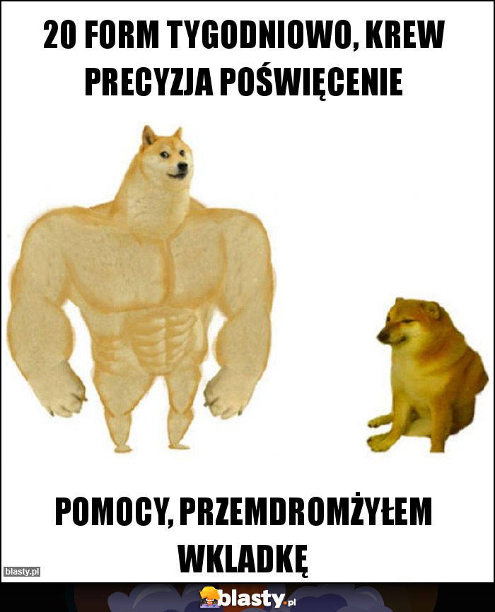 20 form tygodniowo, krew precyzja poświęcenie