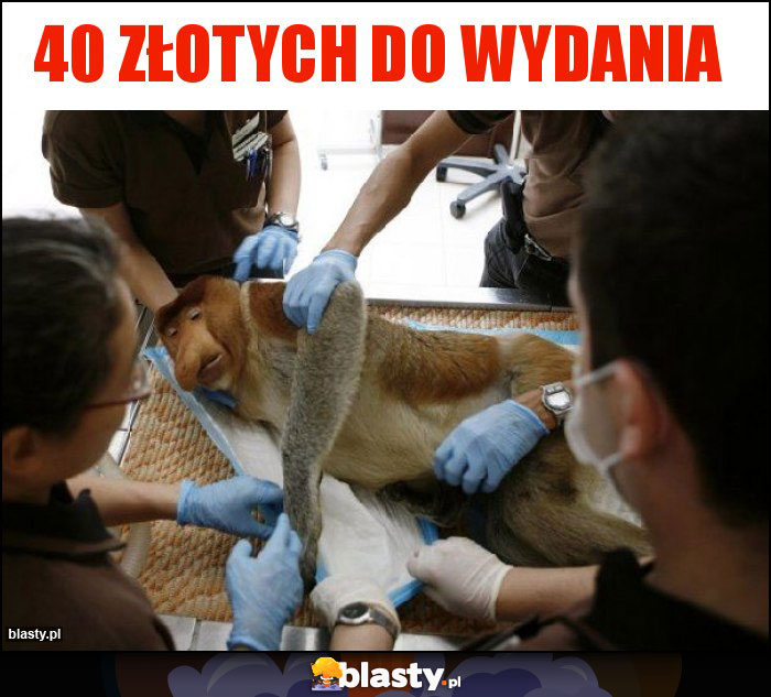 40 złotych do wydania