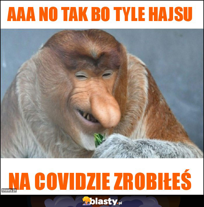 Aaa no tak bo tyle hajsu