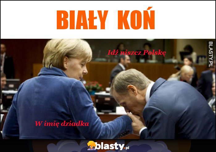 Biały  koń