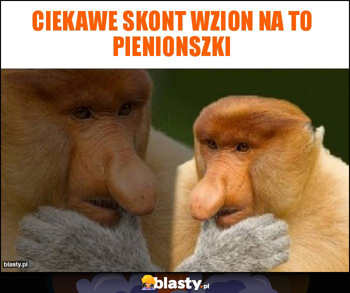 Ciekawe skont wzion na to pienionszki