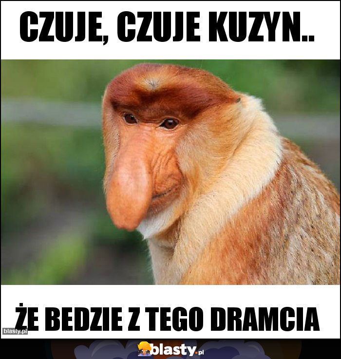 Czuje, czuje kuzyn..