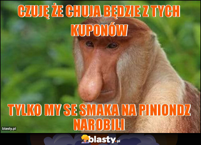 Czuję że chuja będzie z tych kuponów