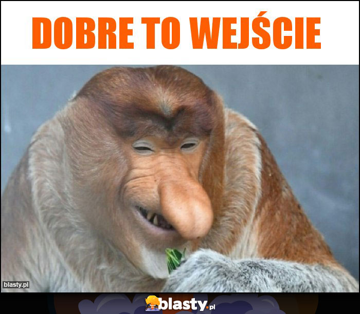 Dobre to wejście