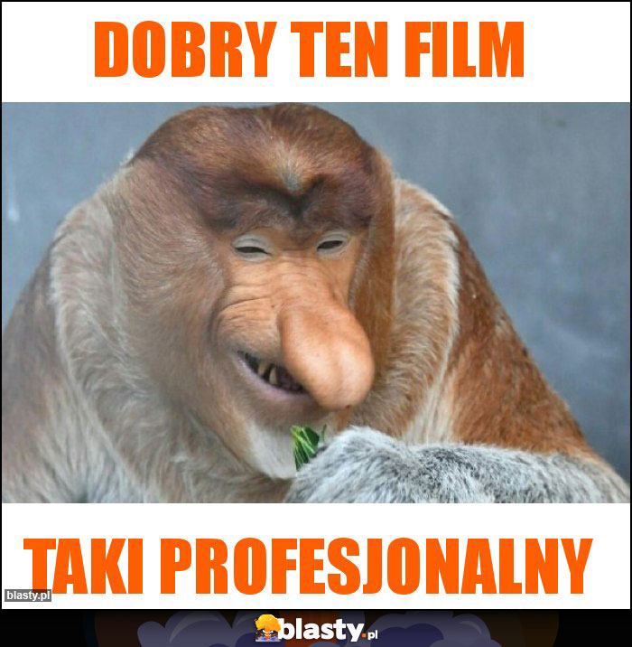 DOBRY TEN film