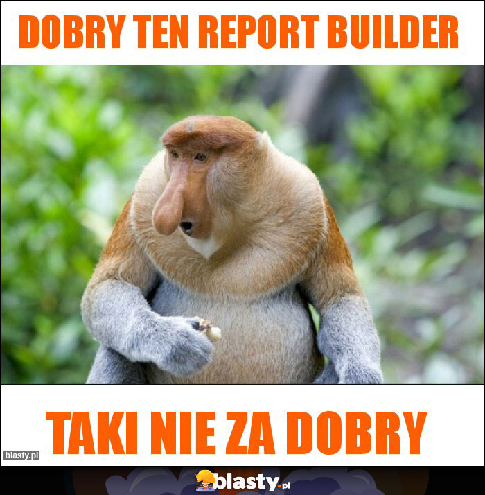 dobry ten report builder