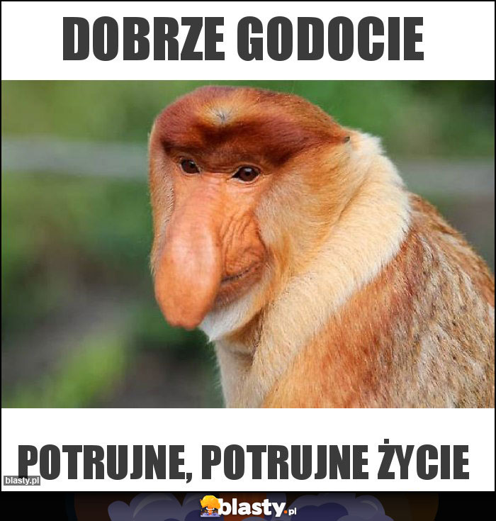 DOBRZE GODOCIE