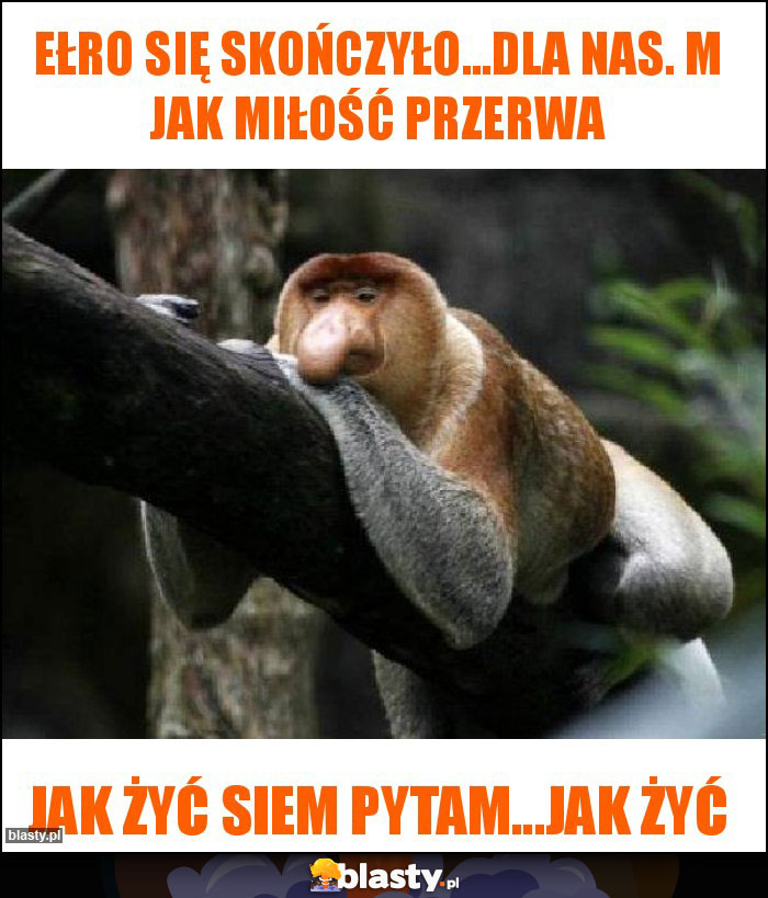 Ełro się skończyło...Dla nas. M jak miłość przerwa