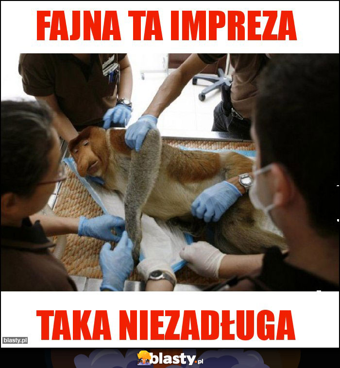 Fajna ta impreza