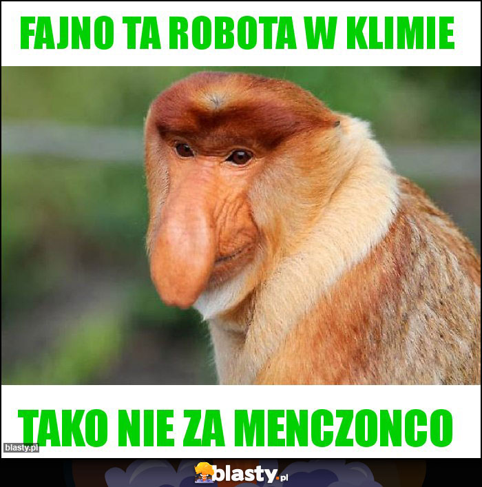 Fajno ta robota w klimie