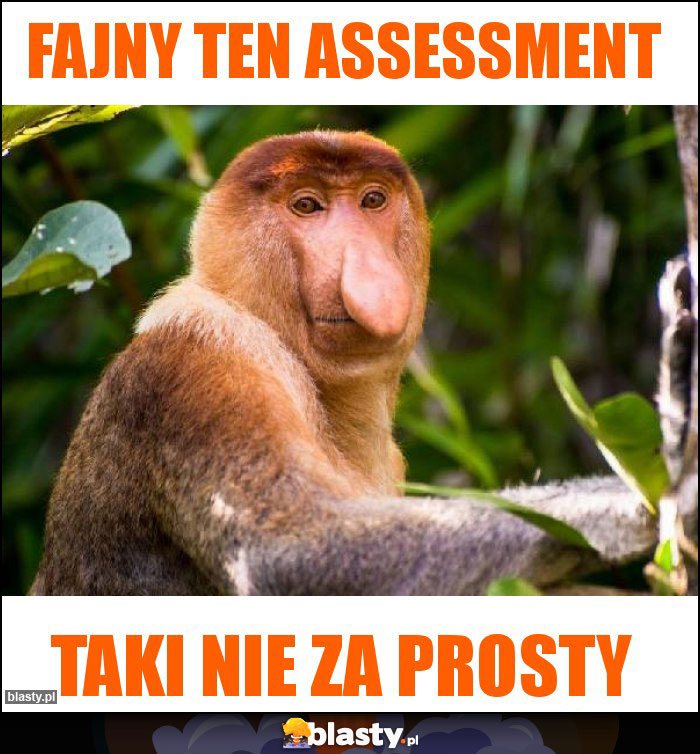 Fajny ten assessment