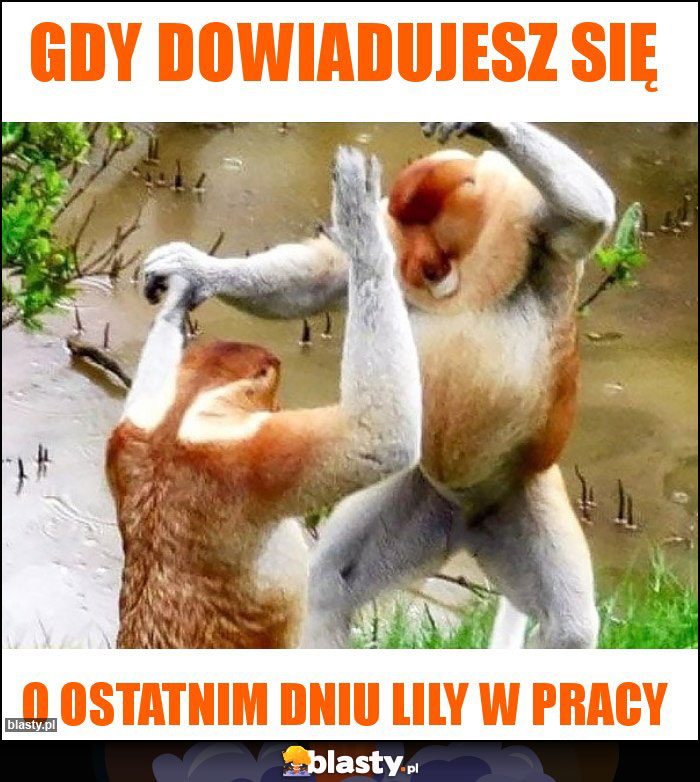 Gdy dowiadujesz się