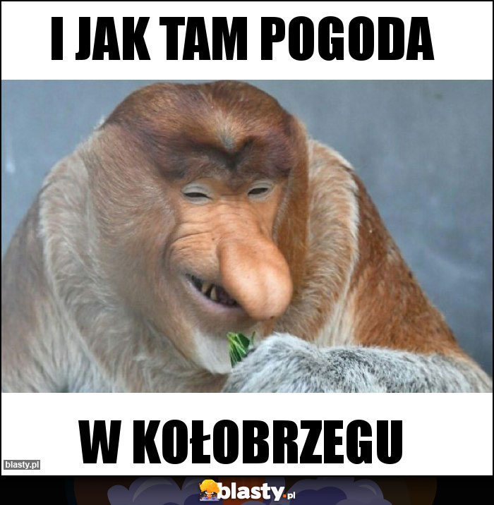 I jak tam pogoda