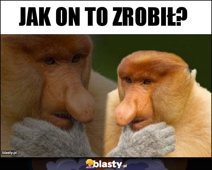 Jak on to zrobił?