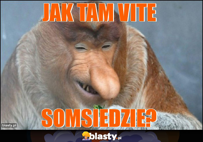 Jak tam Vite