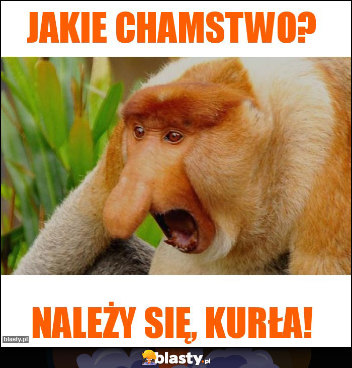 Jakie Chamstwo?