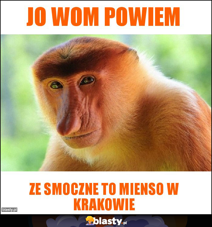 Jo wom powiem